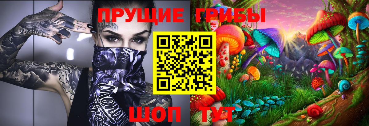 Псилоцибиновые грибы Magic Shrooms  Вход с VPN  Новосибирск 