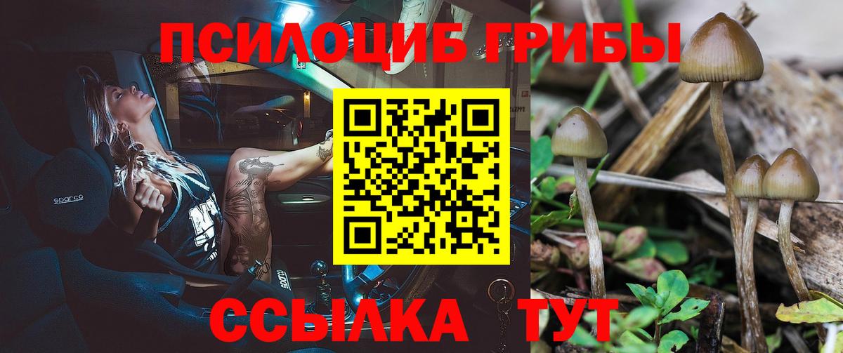 Галлюциногенные грибы Magic Shrooms Новосибирск